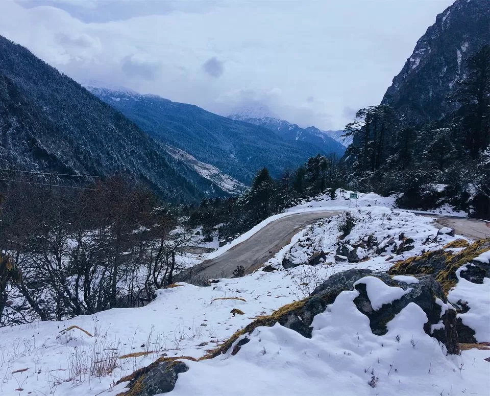 Photo of Yumthang Valley, Yumthang, สิกขิม, อินเดีย by Sonalika Debnath