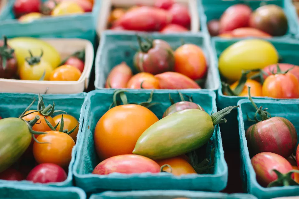 Photo of Burlington, VT, United States by Sonalika Debnath