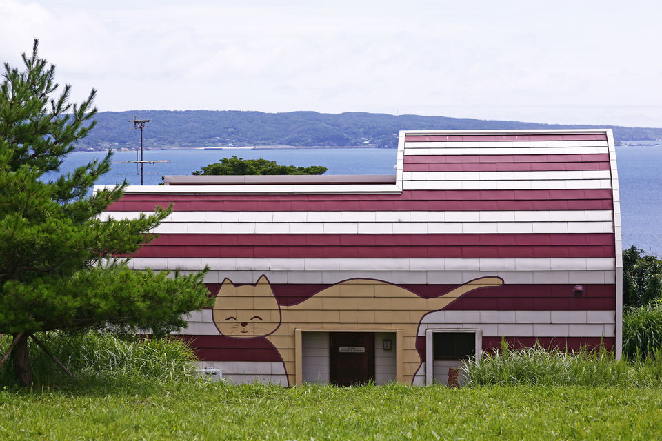 Photo of Tashirojima, Ishinomaki, Miyagi Prefecture, Japan by Sonalika Debnath