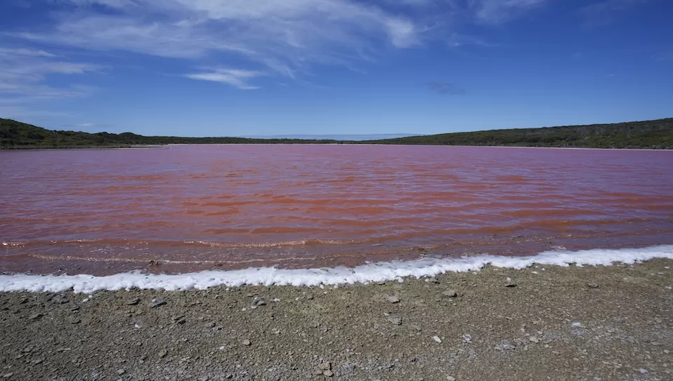 Photo of Lake Hillier, Western Australia, Australia by Sonalika Debnath