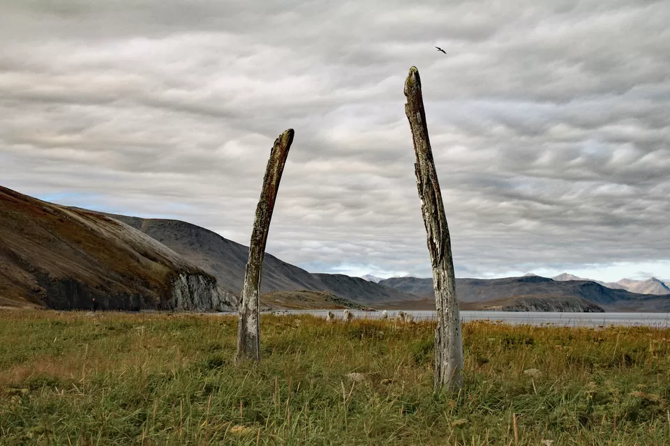 Photo of Whale Bone Alley, Chukotka Autonomous Okrug, Russia by Sonalika Debnath