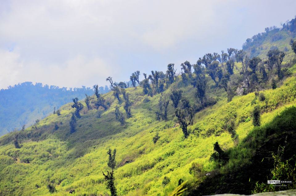 Photo of 5 Stunning Organic Villages In Sikkim, That You Haven't Seen On Your Facebook Newsfeed Yet by Sonalika Debnath