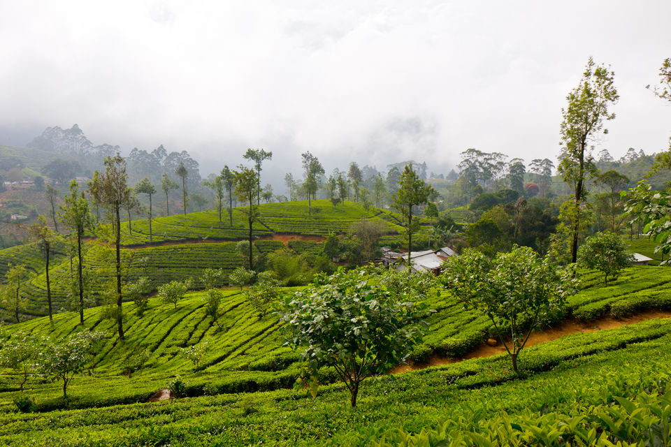 Photo of This Is Not A Drill: Rent This Entire Island In Sri Lanka For Whatever Reason You Want by Sonalika Debnath