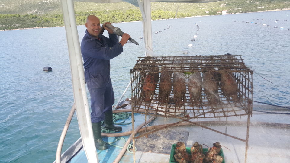 Photo of Edivo Vina Is The World's First Underwater Winery: Go Diving Here For A Good Bottle Of Wine by Sonalika Debnath