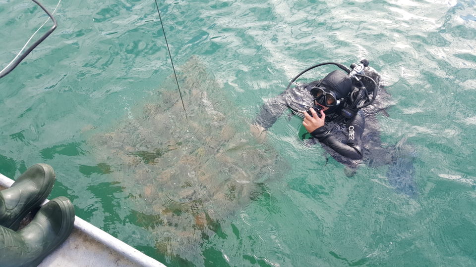 Photo of Edivo Vina Is The World's First Underwater Winery: Go Diving Here For A Good Bottle Of Wine by Sonalika Debnath