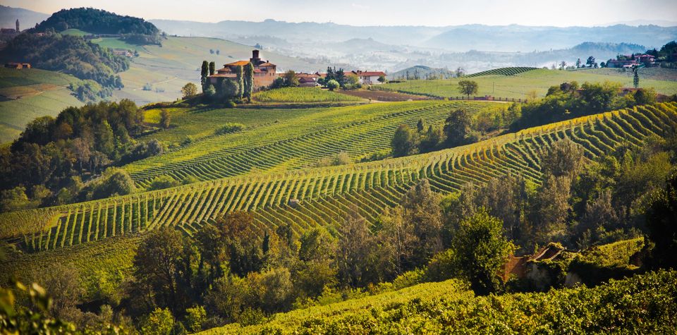 Photo of Barolo, Province of Cuneo, Italy by Sonalika Debnath