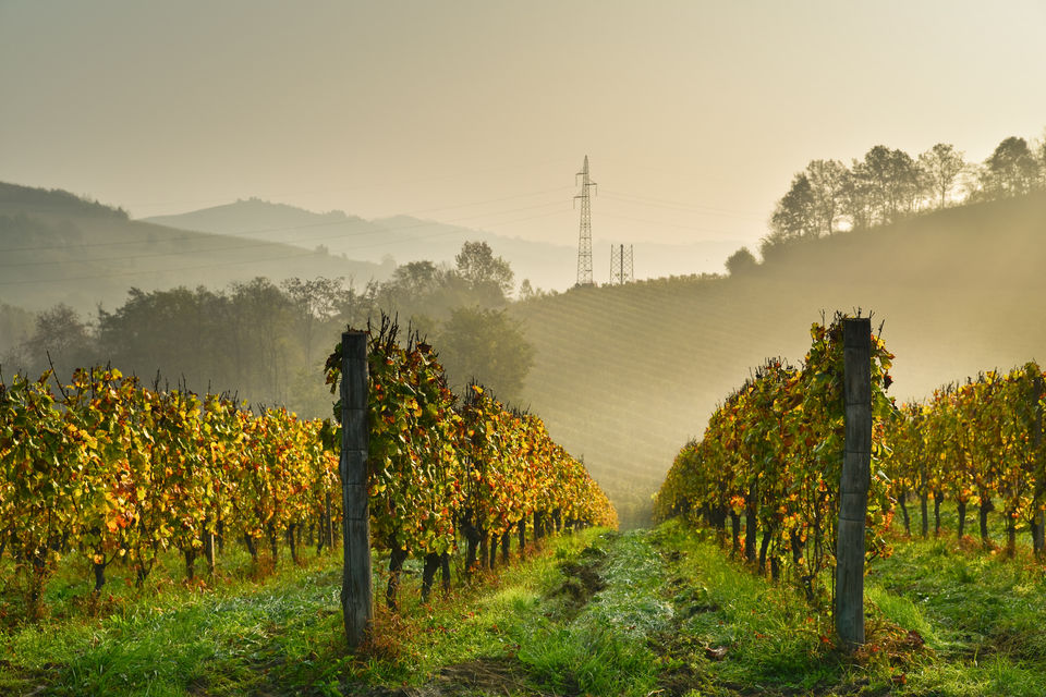 Photo of Barolo, Province of Cuneo, Italy by Sonalika Debnath