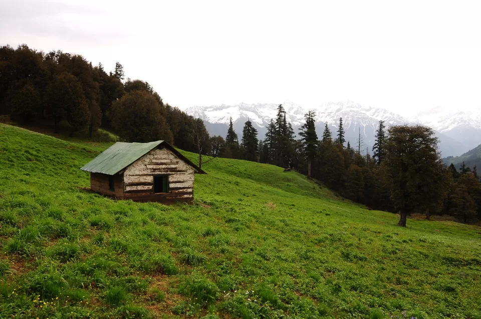 Photo of Sainj, Himachal Pradesh, India by Sonalika Debnath