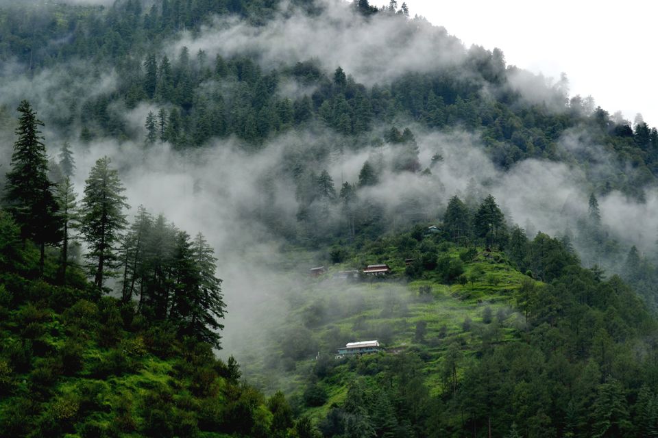 Photo of This Bluehouse By The River, Hidden In The Hills Of Himachal Is An Instagrammer's Dream Come True by Sonalika Debnath