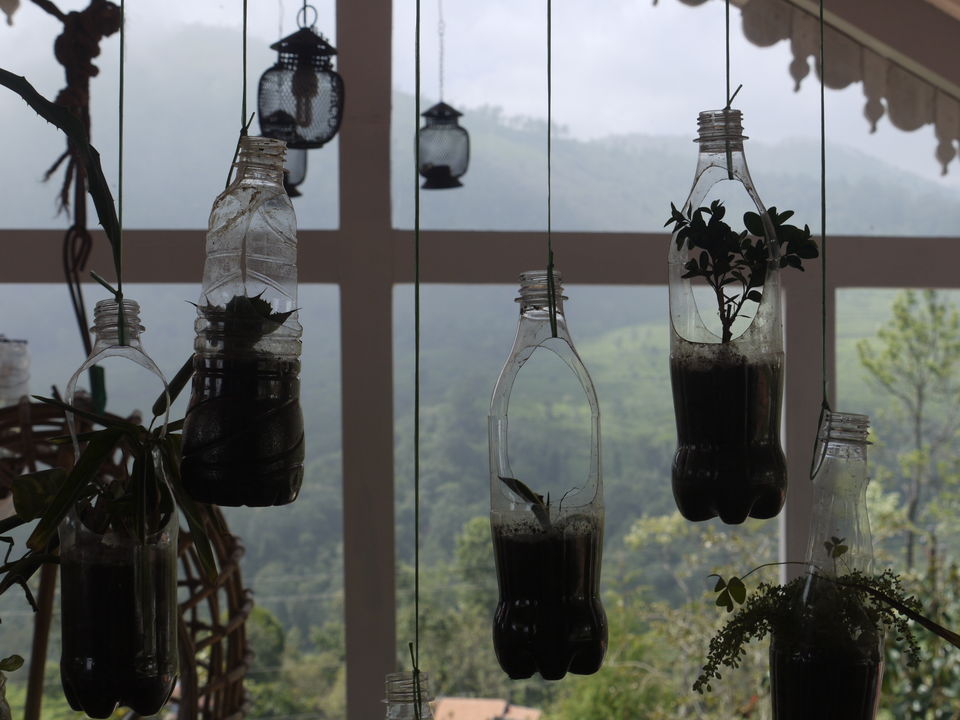 Photo of Head To These Gorgeous Tea Estates Across India, For More Than Just A Cup Of Chai by Sonalika Debnath