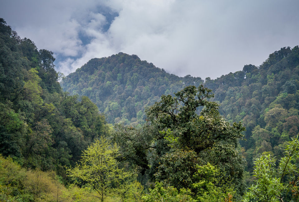 Photo of Lohit, Arunachal Pradesh, India by Sonalika Debnath