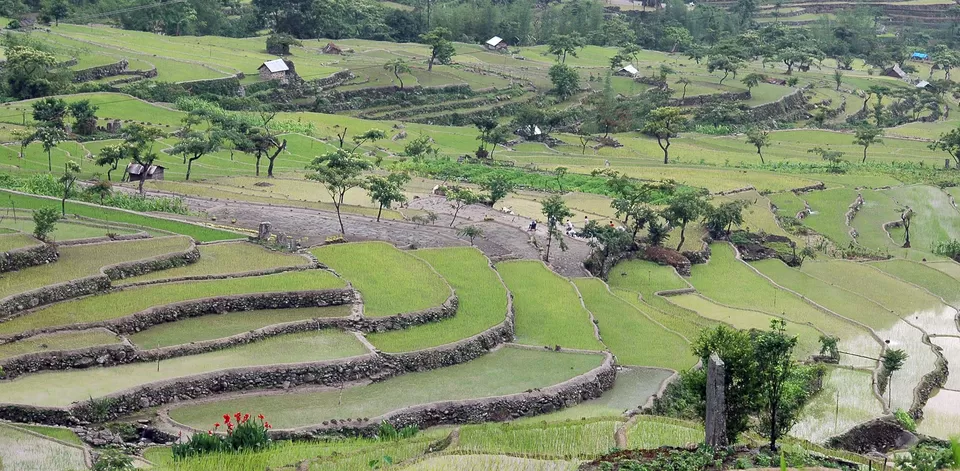Photo of Longwa, Nagaland, India by Sonalika Debnath