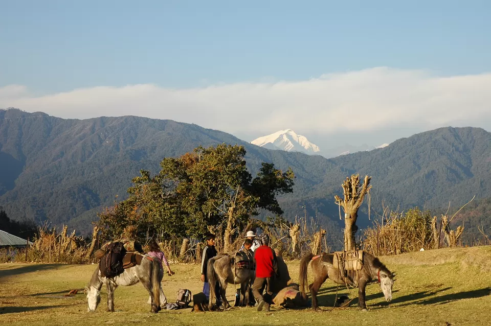 Photo of Thembang by Sonalika Debnath