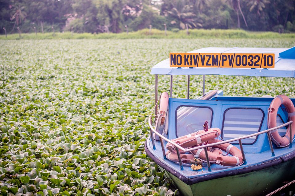 Photo of Done With Goa And Looking To Experiment? Here's Your Guide To India's Other Stunning Coastline by Sonalika Debnath