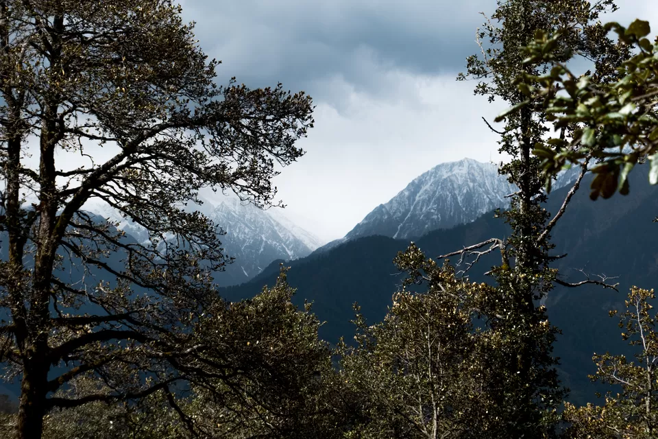 Photo of Gunehr, Himachal Pradesh, India by Sonalika Debnath