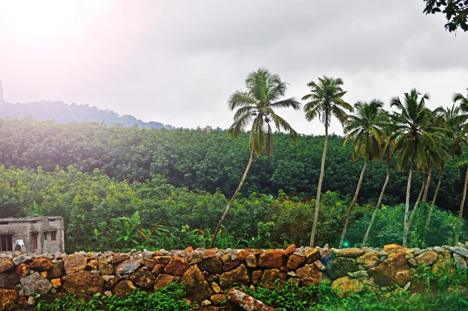 Photo of Moira Goa: A Goan Treasure Has Been Unearthed! by Sonalika Debnath