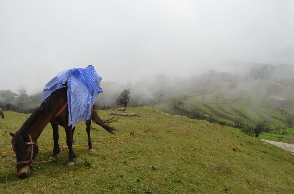 Photo of Singālila Range, Sikkim, India by Sonalika Debnath