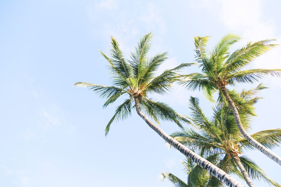 Photo of After Pondicherry, Head To This Lesser Known Tropical Town For Your Next Getaway by Sonalika Debnath
