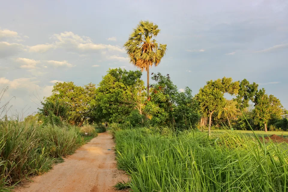 Photo of Sigiriya, Central Province, Sri Lanka by Sonalika Debnath