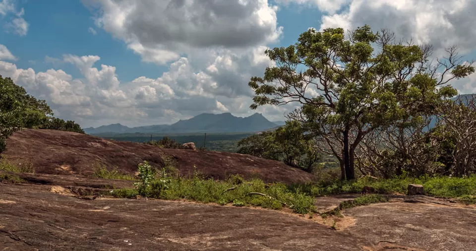 Photo of Dambulla, Central Province, Sri Lanka by Sonalika Debnath