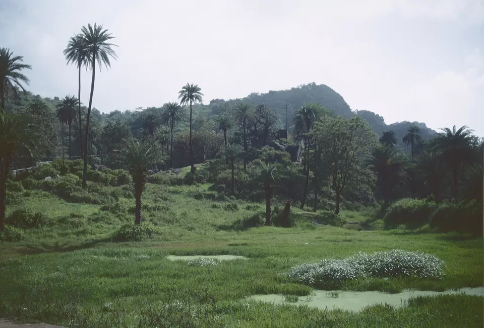 Photo of Mount Abu, Rajasthan, India by Sonalika Debnath