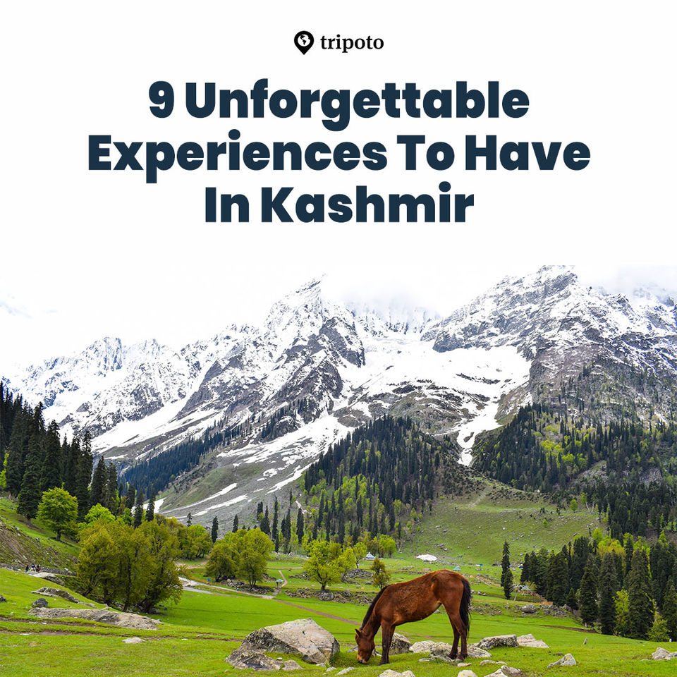 Photo of 9 Unforgettable Experiences To Have In Kashmir 1/10 by Sonalika Debnath