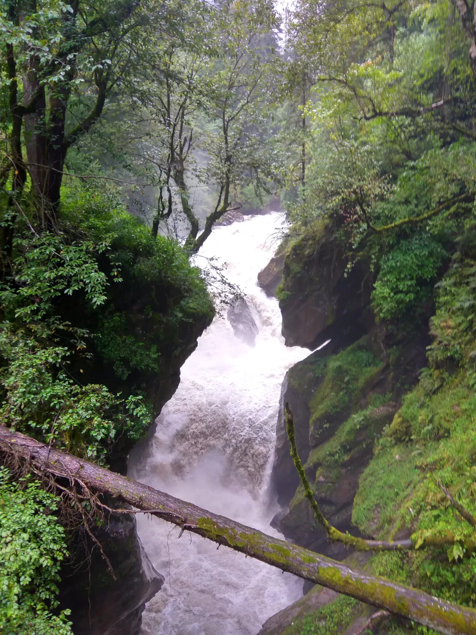 Photo of KheerGanga Waterfall - Half way, Kullu, Himachal Pradesh, India by Radhu