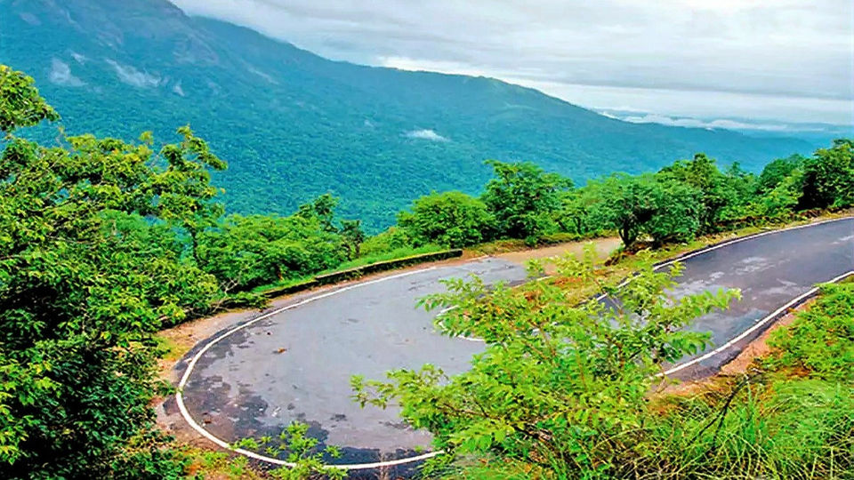 sakleshpur trip packages from bangalore