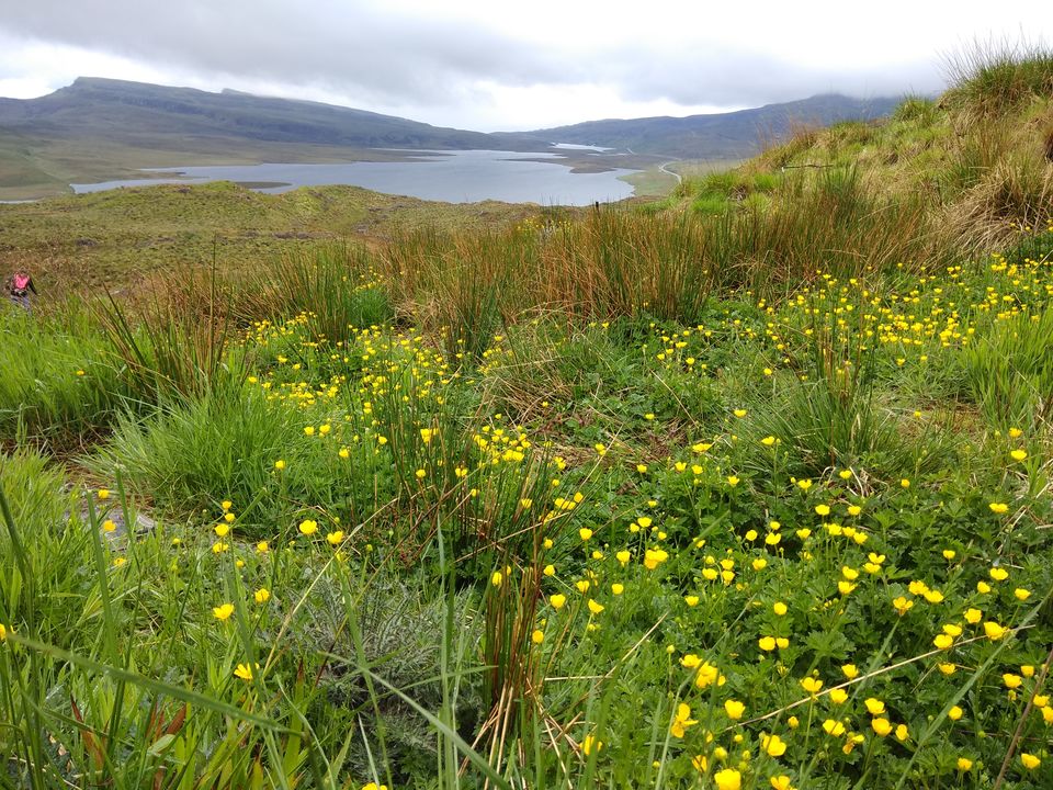 Photo of Old Man of Storr, United Kingdom by Priya Saxena