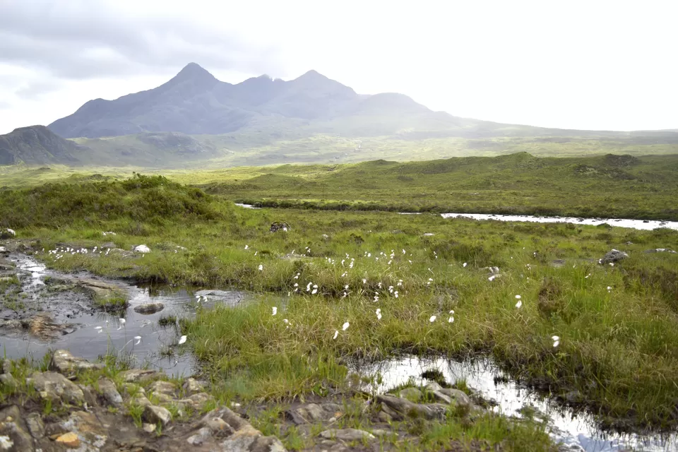 Photo of Sligachan, United Kingdom by Priya Saxena