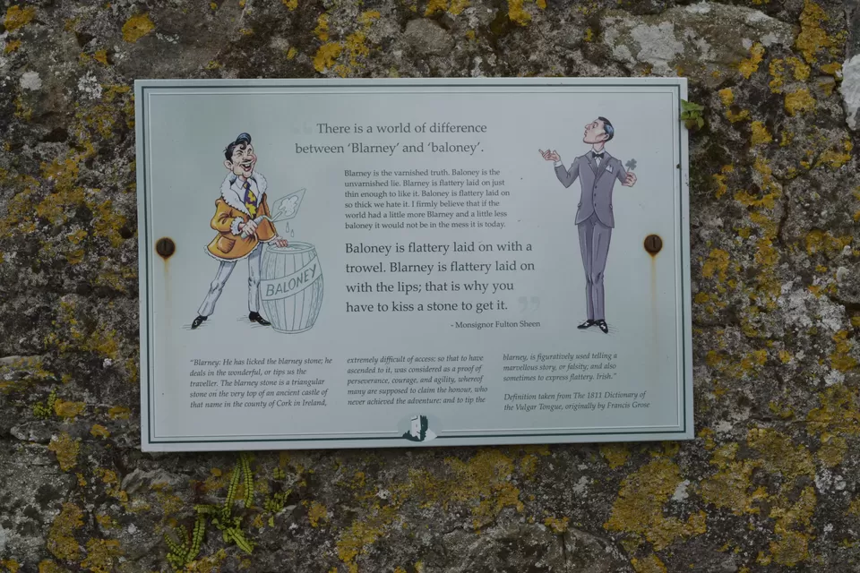 Photo of Blarney Castle, County Cork, Ireland by Priya Saxena