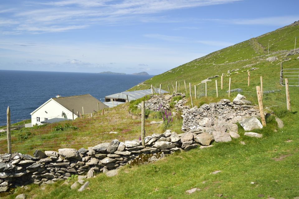 Photo of Dingle Peninsula, County Kerry, Ireland by Priya Saxena