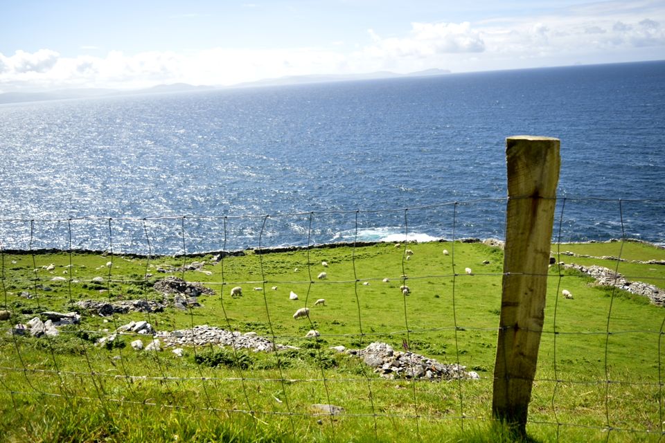 Photo of Dingle Peninsula, County Kerry, Ireland by Priya Saxena