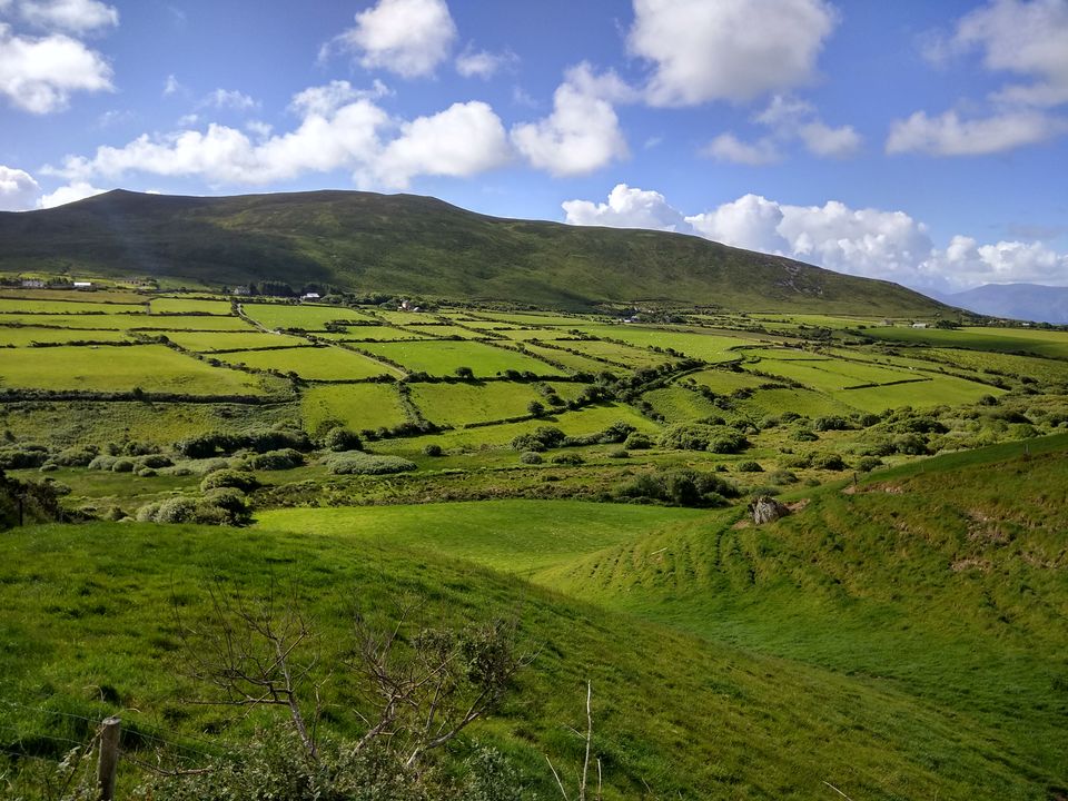 Photo of The Irish Craic: 5 Days in Emerald Isle in Summers by Priya Saxena