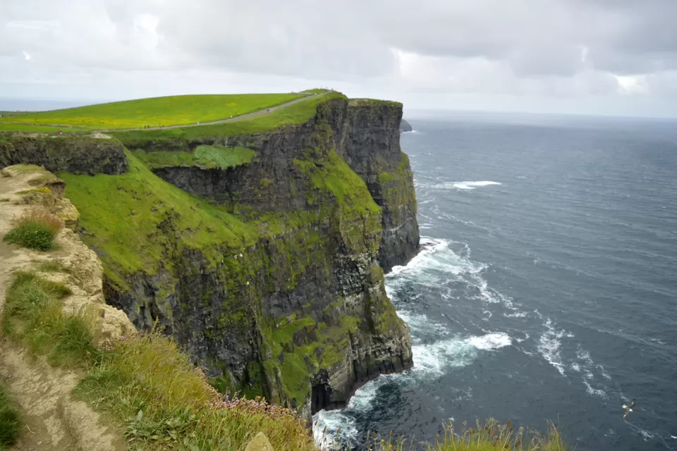 Photo of Cliffs of Moher, Lislorkan North, County Clare, Ireland by Priya Saxena