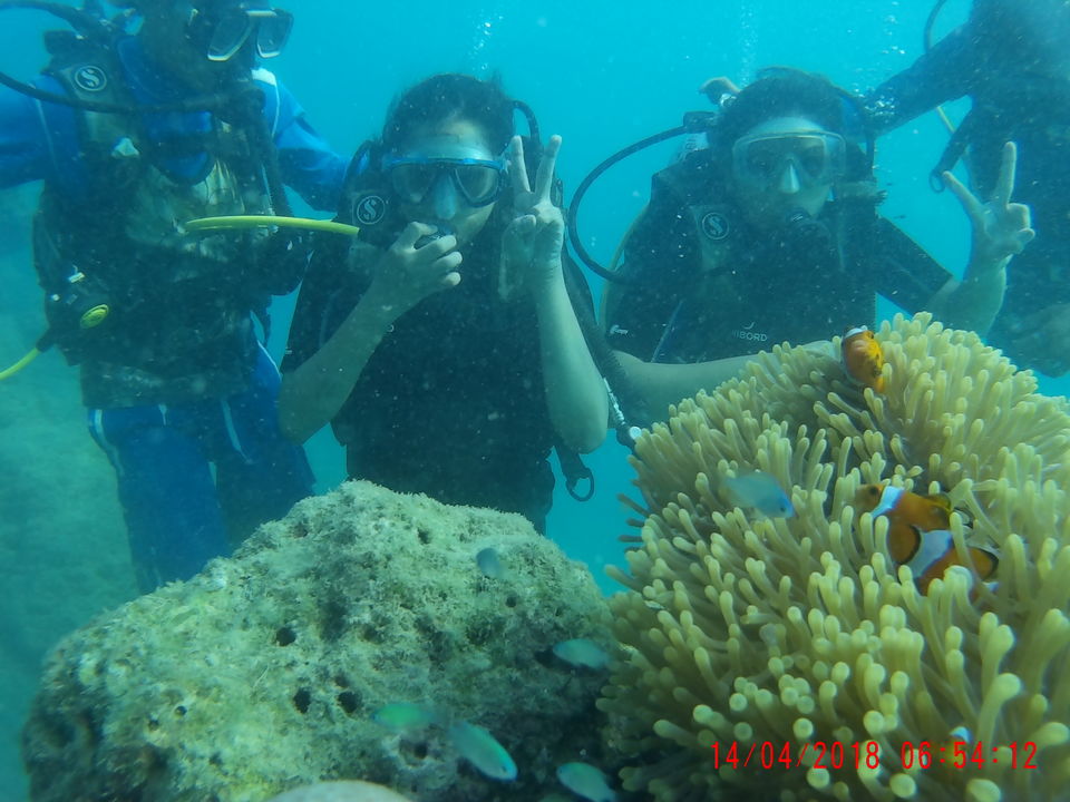 Photo of Island & Beach Hopping: A Complete Guide to Andaman & Nicobar Islands! by Priya Saxena