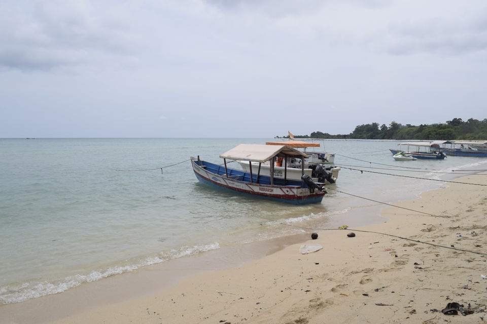 Photo of Bharatpur Beach, Neil Island, Bharatpur, Andaman and Nicobar Islands, India by Priya Saxena