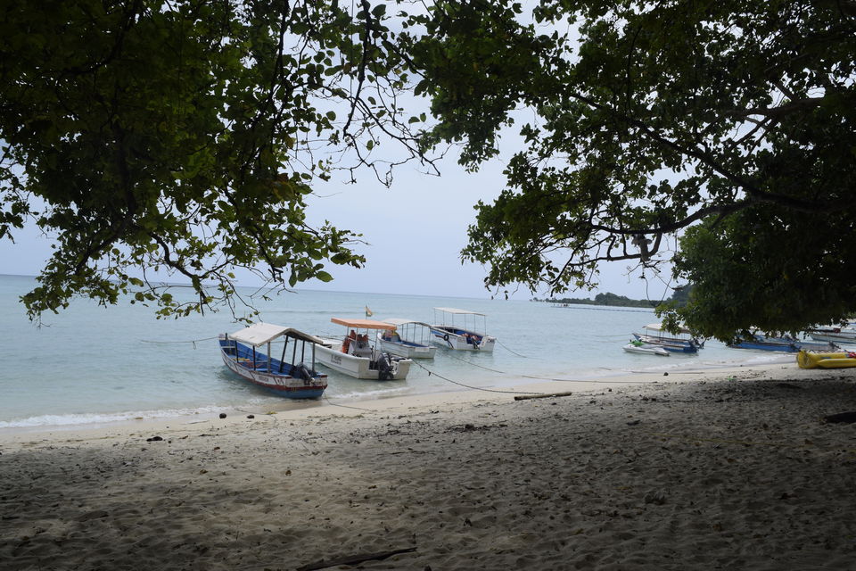 Photo of Bharatpur Beach, Neil Island, Bharatpur, Andaman and Nicobar Islands, India by Priya Saxena