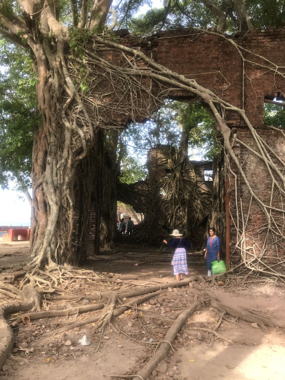 Photo of Ross Island by Priya Saxena