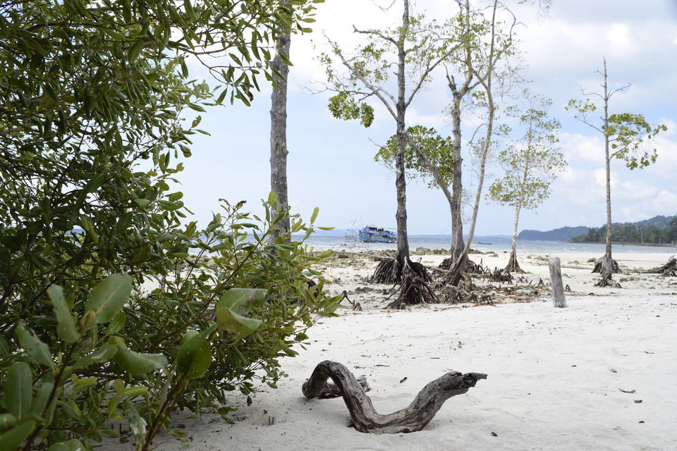 Photo of Elephant Beach, Port Blair, Andaman and Nicobar Islands, India by Priya Saxena
