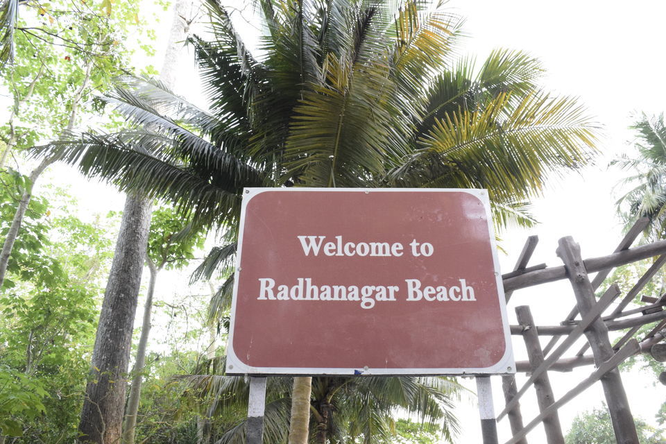 Photo of Radhanagar Beach, Andaman and Nicobar Islands by Priya Saxena