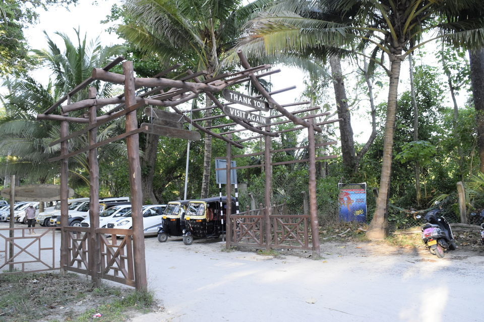Photo of Radhanagar Beach, Andaman and Nicobar Islands by Priya Saxena