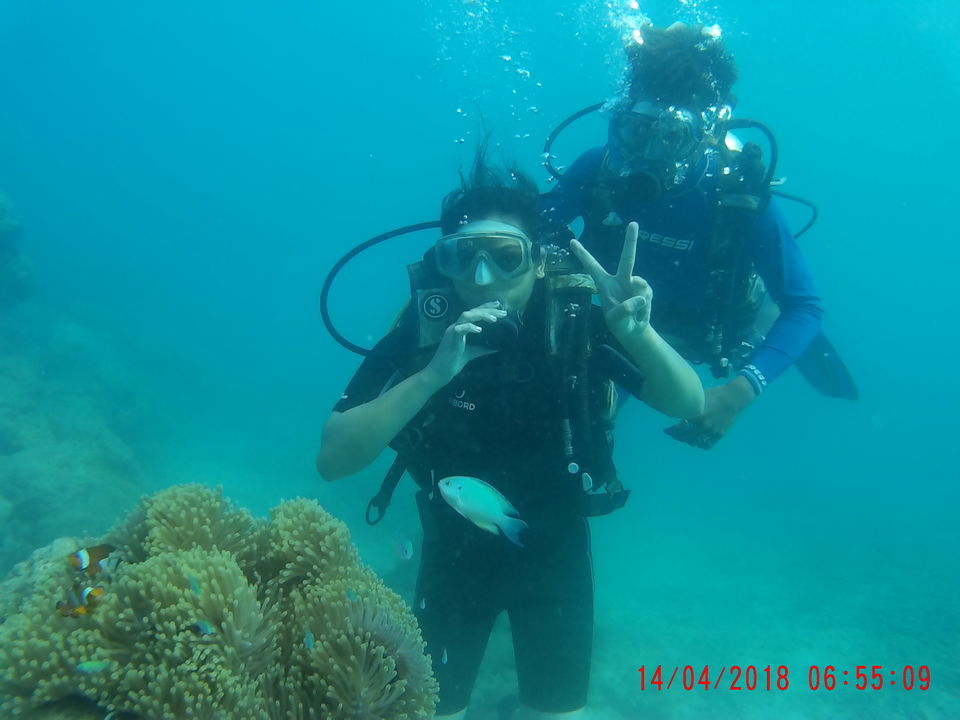 Photo of Island & Beach Hopping: A Complete Guide to Andaman & Nicobar Islands! by Priya Saxena