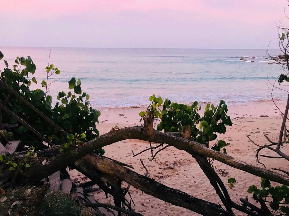Photo of Island & Beach Hopping: A Complete Guide to Andaman & Nicobar Islands! by Priya Saxena