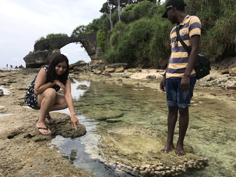 Photo of Laxmanpur Beach, Village Road, Lakshmanpur, Andaman and Nicobar Islands, India by Priya Saxena