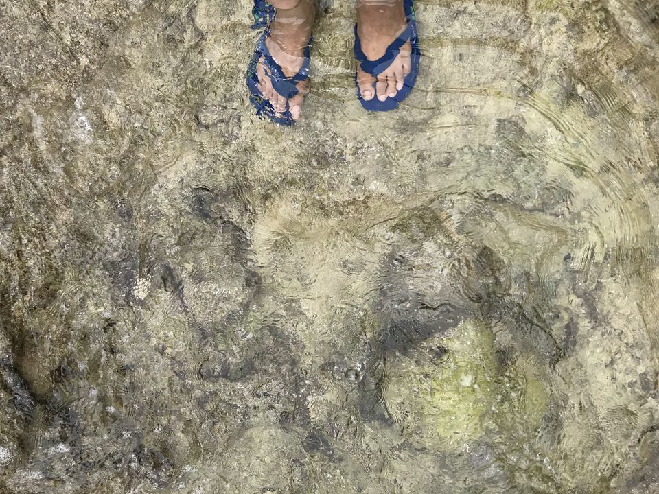 Photo of Laxmanpur Beach, Village Road, Lakshmanpur, Andaman and Nicobar Islands, India by Priya Saxena
