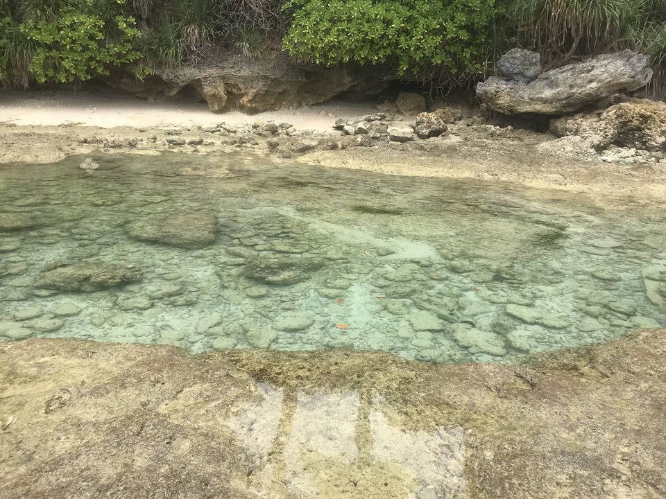 Photo of Laxmanpur Beach, Village Road, Lakshmanpur, Andaman and Nicobar Islands, India by Priya Saxena