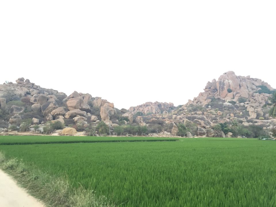 Photo of Happening Hampi by Ankit Agrawal
