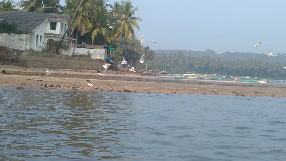 Photo of Aguada Fort Area, Candolim, Goa, India by srinath