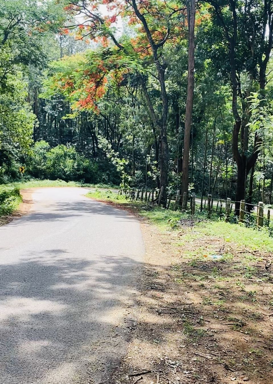 Photo of Road Trip to South Karnataka to Find Zen in Temples – #Goa to #Chikkamagaluru Road Trip by Dr Sheetal